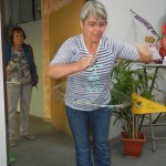 DSCN7672 - Kopie DSCN7672 - Kopie