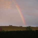 IMG_6516 - Kopie IMG_6516 - Kopie