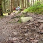 SAM_4862 - Kopie SAM_4862 - Kopie