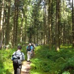 SAM_4890 - Kopie SAM_4890 - Kopie