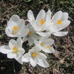 img_8520-kopie