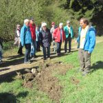 img_8952-kopie img_8952-kopie