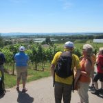 img_9418-kopie img_9418-kopie