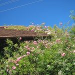 img_9428-kopie img_9428-kopie