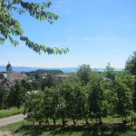 img_9434-kopie img_9434-kopie