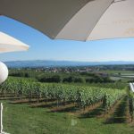 img_9451-kopie img_9451-kopie