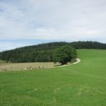 img_9601-kopie img_9601-kopie