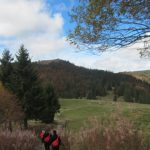 img_1085-kopie img_1085-kopie