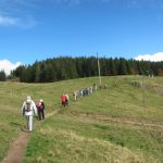 img_1102-kopie img_1102-kopie