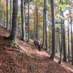 img_1114-kopie img_1114-kopie