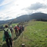 img_1120-kopie img_1120-kopie