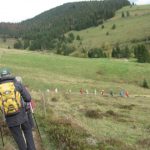 img_1143-kopie img_1143-kopie