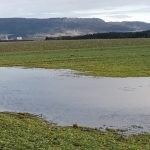20180128_140613-kopie 20180128_140613-kopie
