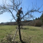 IMG_1760 - Kopie