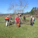 IMG_1764 - Kopie