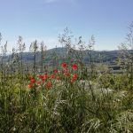 IMG_20190602_104347 - Kopie